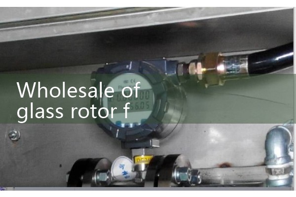 EH flowmeter
